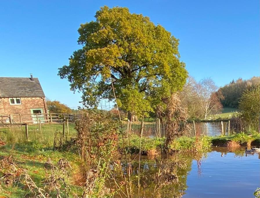 Oaklands Cottage On A Rural Farm Dingestow 外观 照片